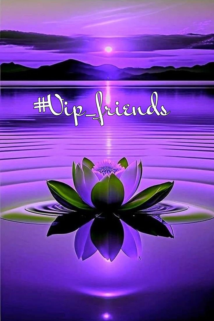 #VIP_FRIENDS ⭐

@_ALESXIA 
@MERRY_ZAE
@SOY_ALESXIA2
@MARTHA_CAN2
@ALESXIA_ANK
@Lu_v_u2
💜
@JB22BRASIL
@tripletsfan19
@DALIHAH_
@As_t40
@Pir_80
@Bn_gsh2
@seraichiban3
@NEENAH678
@Ahmedali7104
@LauraMi25356713
@ChrisSweetman6
@SINGHASINGH
@NabobJuliuson
@GRAHAM15583070
@VIO_LET9