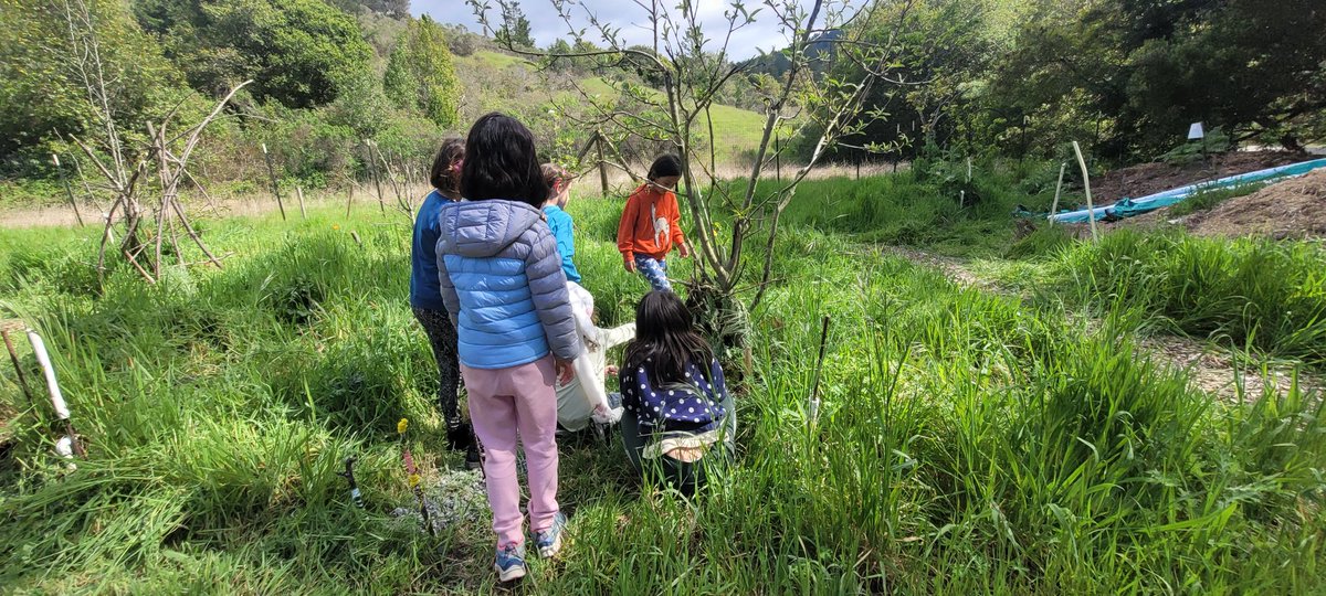 FlowervineMom's tweet photo. The children decided to work on their fairy home under the nectarine tree yesterday. They also planted summer foods, can't forget the food! #humaneeducationprogram #childreninnature https://t.co/DC6HetKAbx