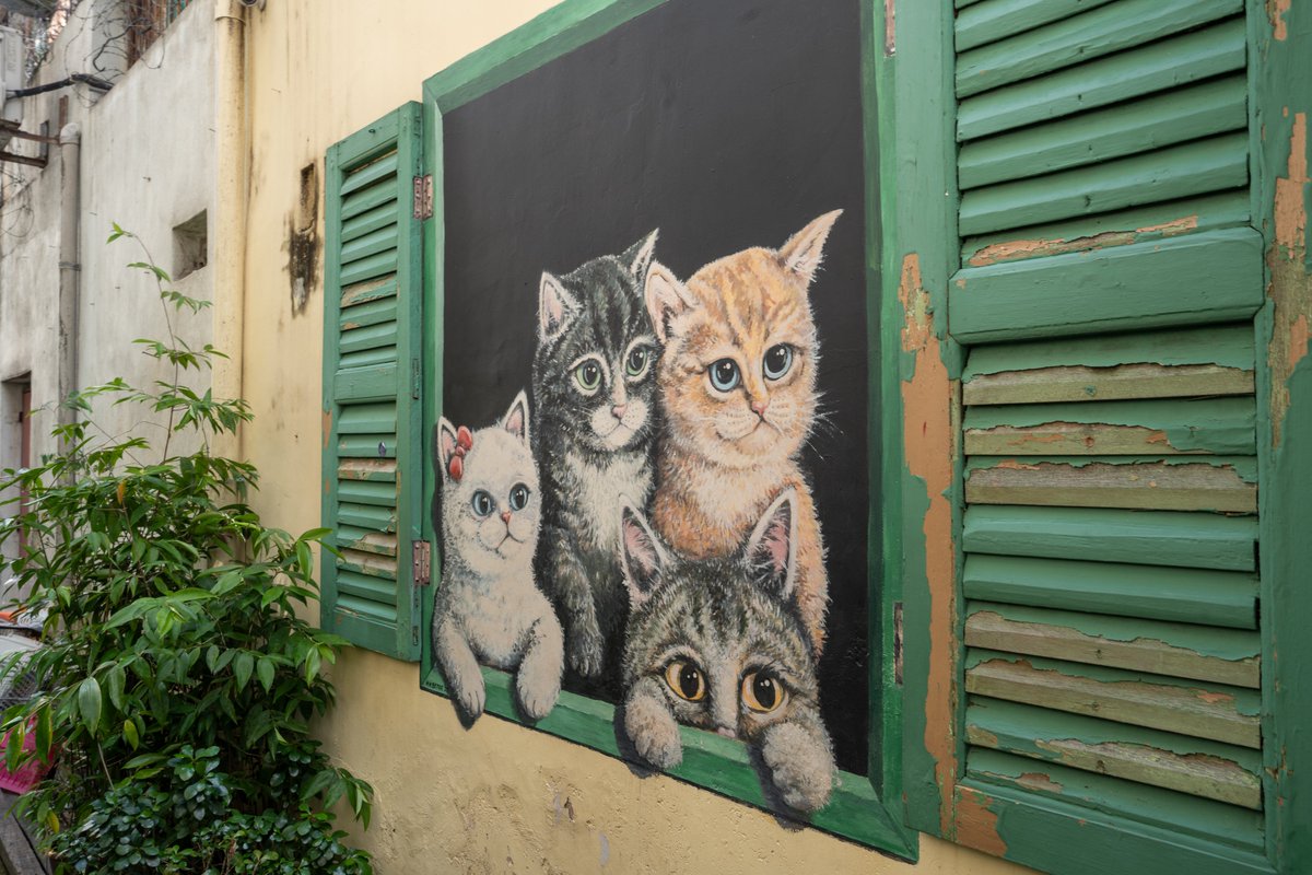 thailand-becausewecan.picfair.com/pics/019602622… Street art in the different streets and alleys of George Town on Penag Island in Malaysia South East Asia Picfair Stock Photo Self Promotion #Malaysia #georgetown #penang #photography #streetphotography #Travel #travelphotography #streetart