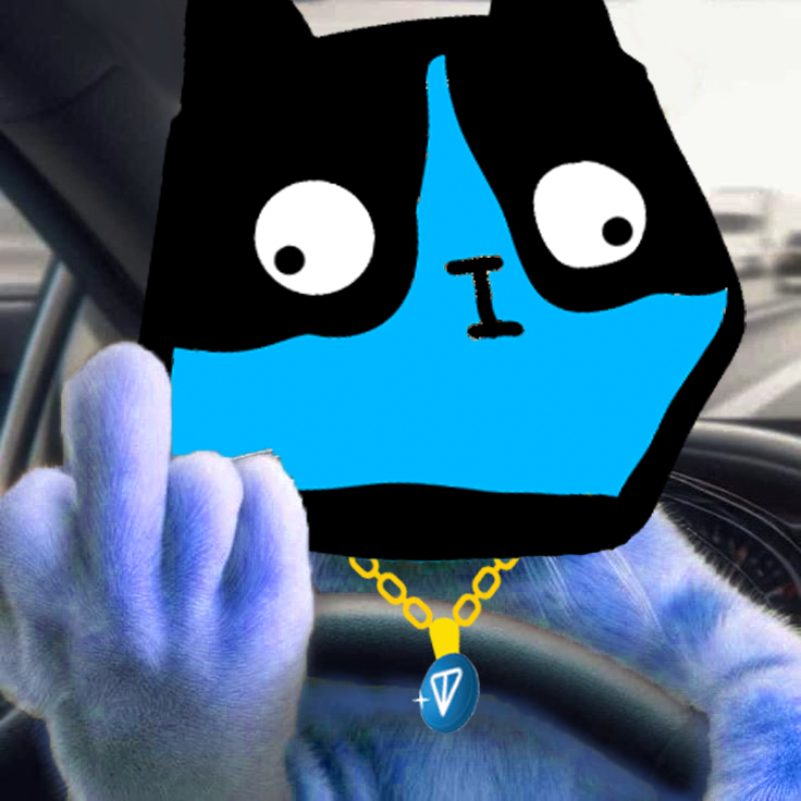 Weird Cat tweet media