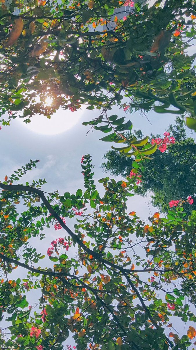 AlephTarot's tweet photo. Carta do dia - O Louco
Hoje será um dia de recomeços, um dia ideal para começar algo que você quer muito, momento de mudanças e novos objetivos. O Louco nos encoraja a sairmos da nossa zona de conforto e buscarmos o nosso melhor. Bom dia! 🍀 https://t.co/gK36wnpLnO