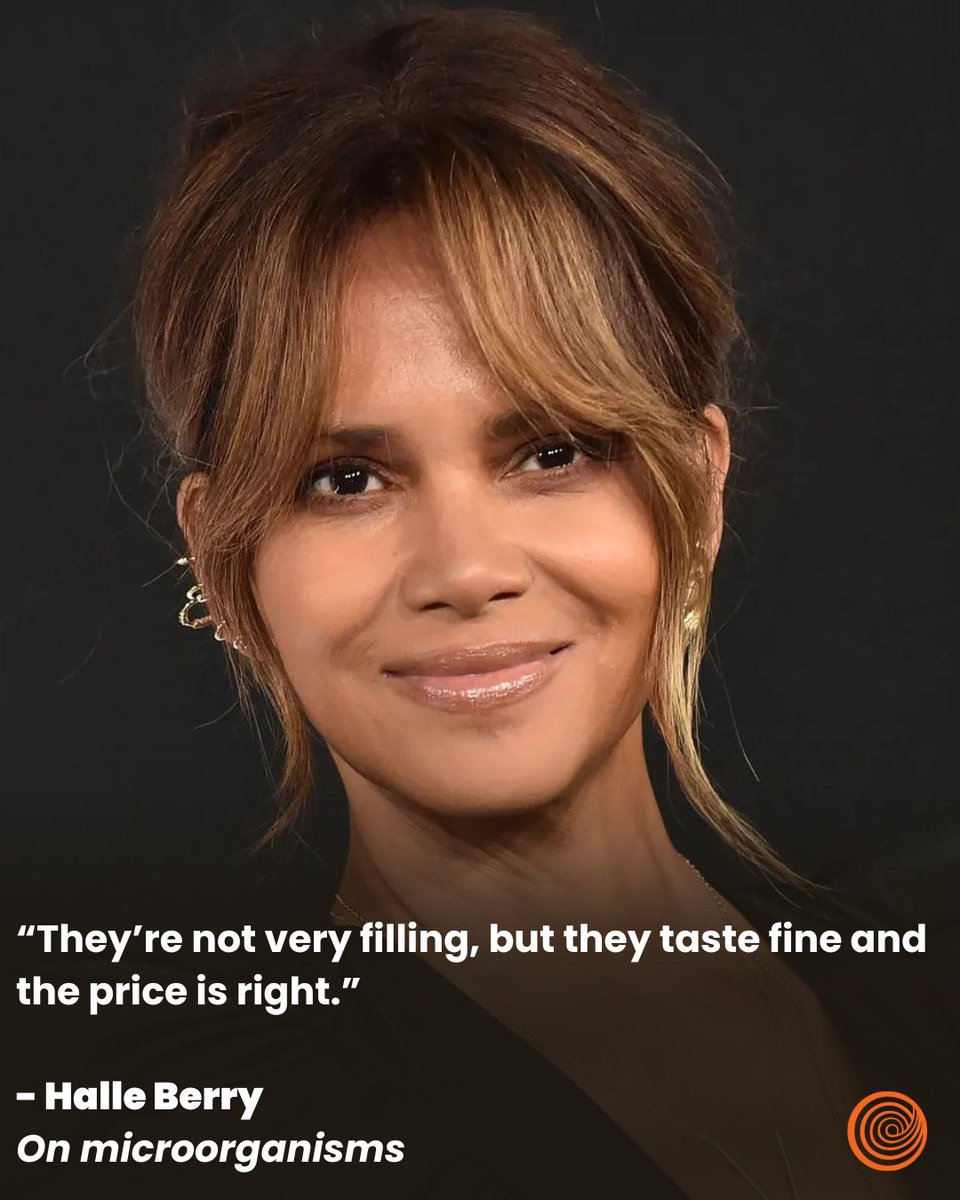 Halle Berry said WHAT?!