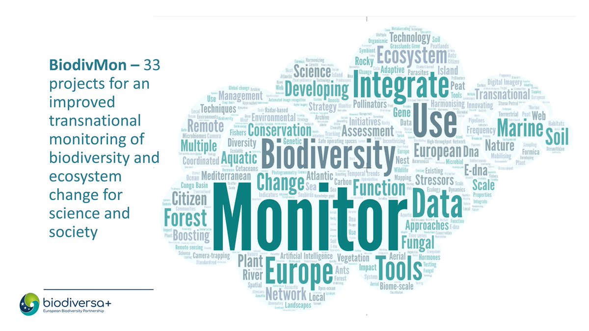 ...And word cloud from the BiodivMon funded projects (a foretaste of tomorrow's presentations)
