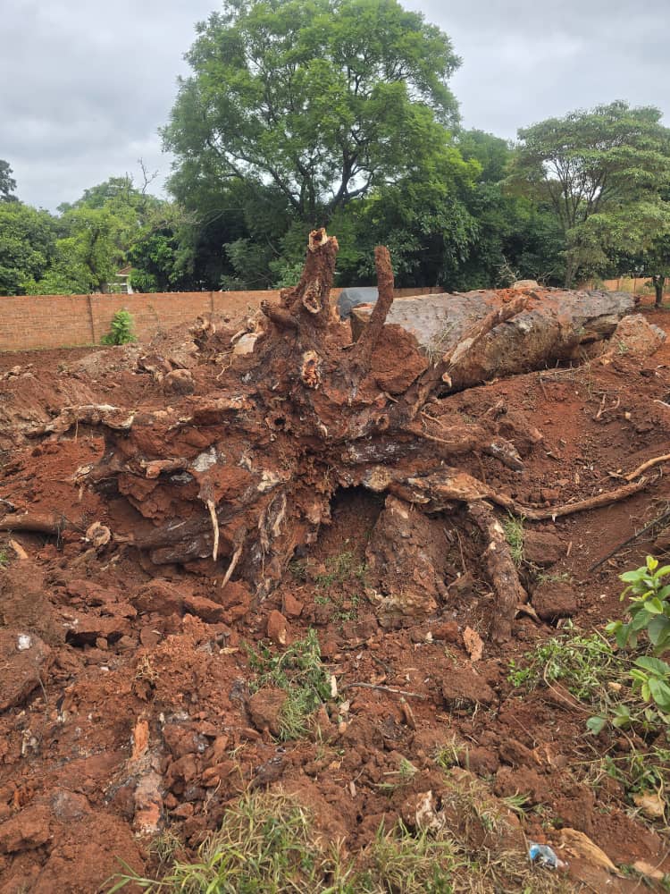 TalmachPVT's tweet photo. Site clearing done @ Elizabeth - Greendale. Over to you - @TurnburyProp. https://t.co/qjyR09EyNq