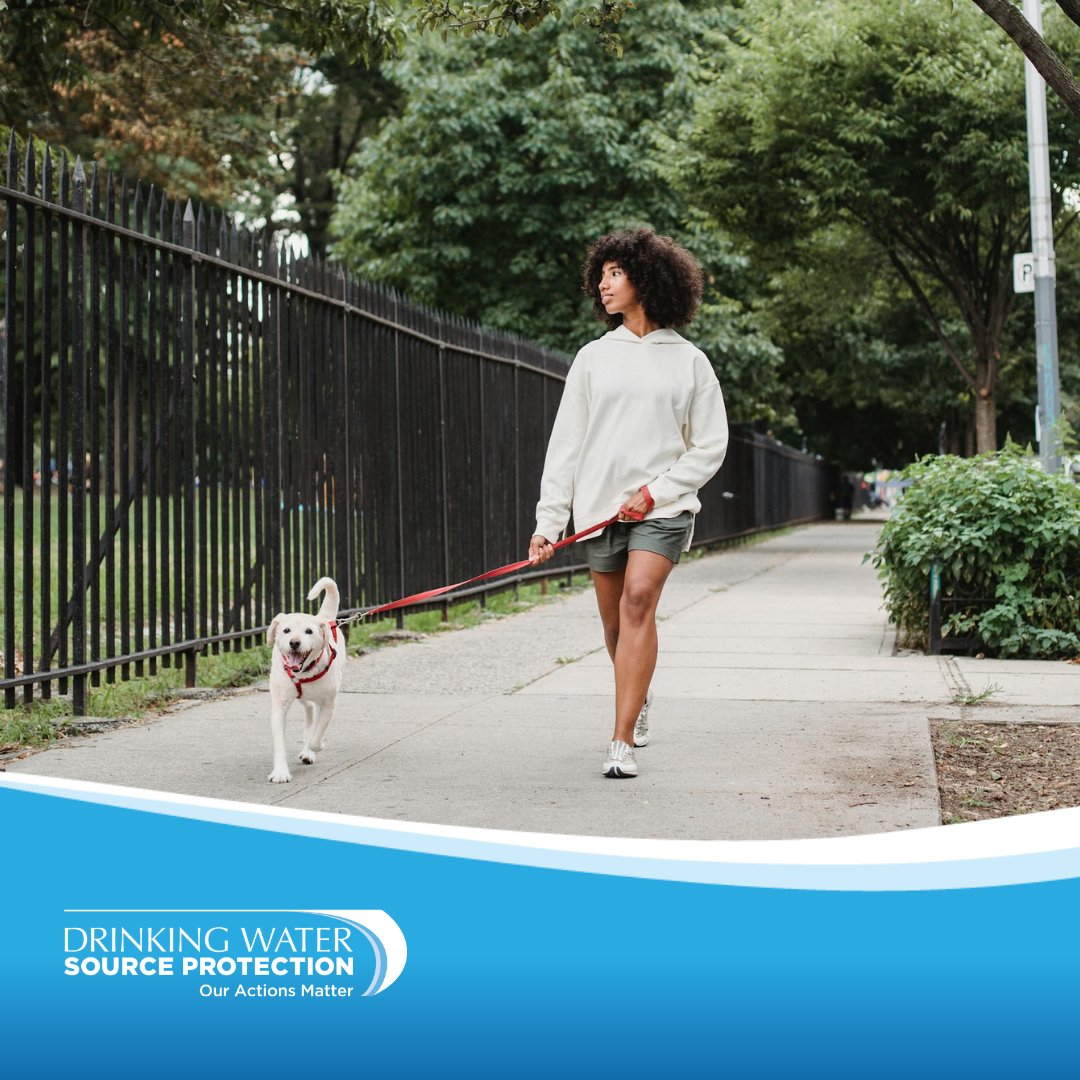 Here’s the scoop on pet poop - it can pollute #DrinkingWaterSources
with bacteria, viruses, parasites and more! Pick up pet waste and toss it in the trash to protect our #DrinkingWaterSources! Learn more: bit.ly/3vry6FQ
#SourceWaterON #WaterWednesdays