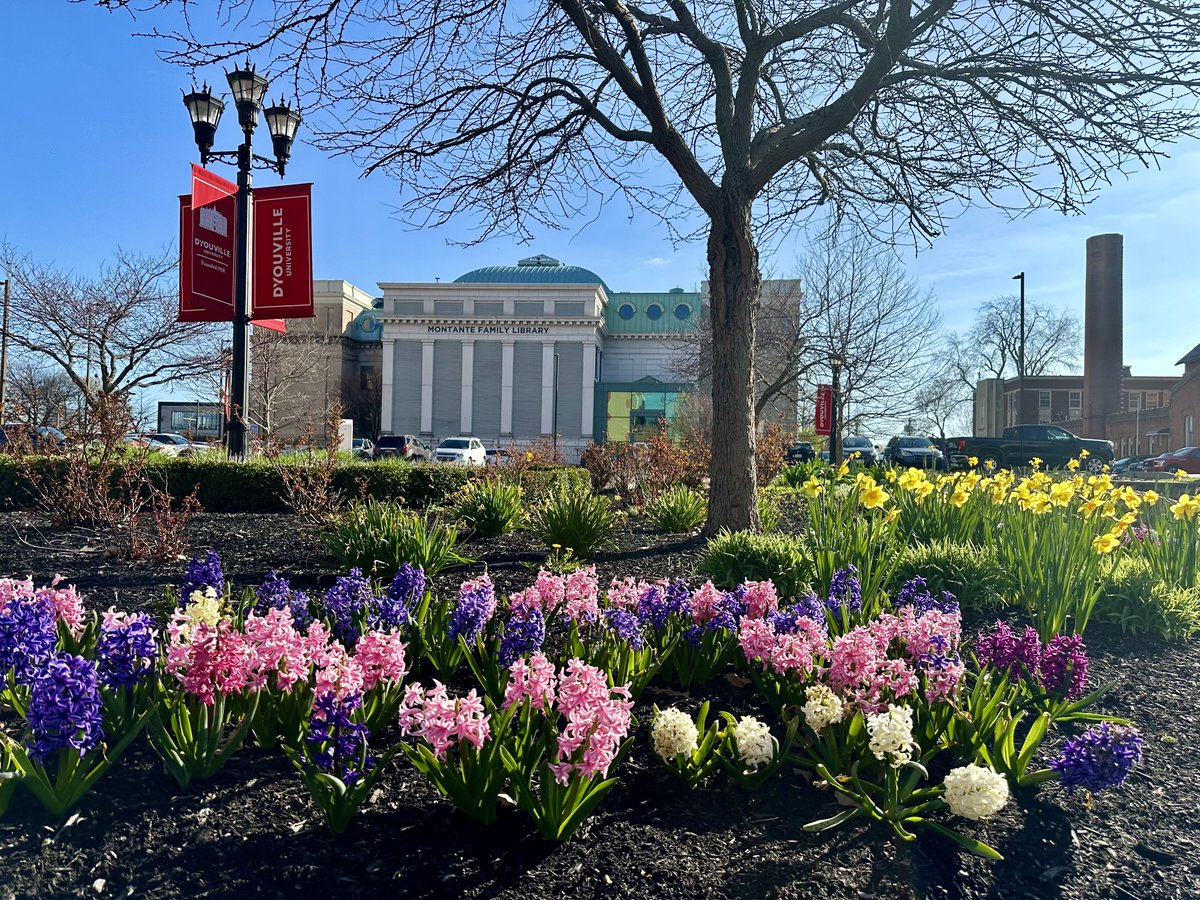 Spring has sprung! 🌷