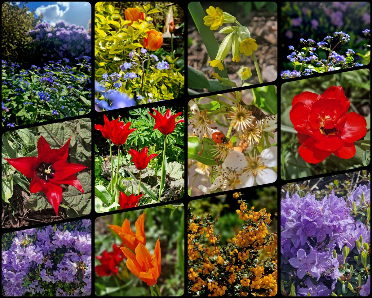 Lunchtime in the #garden Moment of tranquility