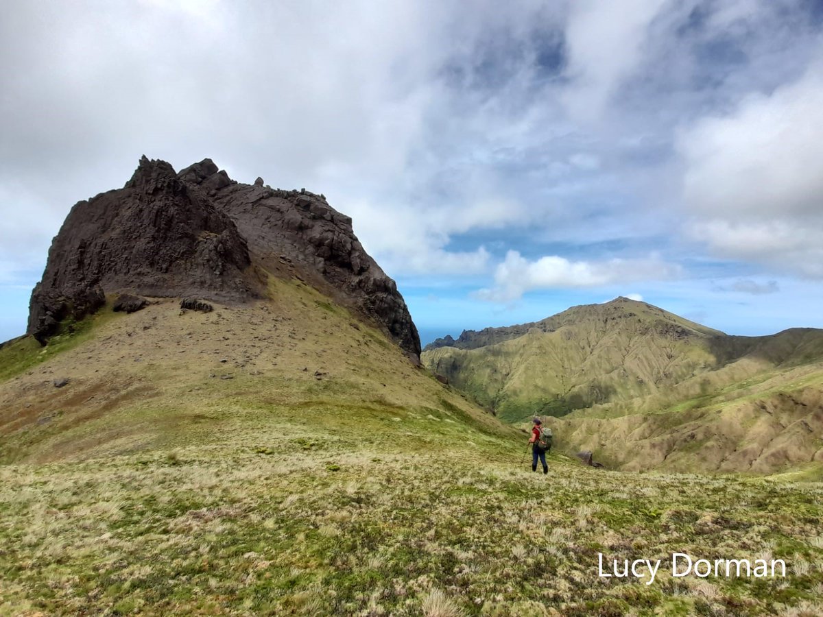 WE’RE RECRUITING!💚🐁... a Field Team Leader & Field Officer to join the G70 SANAP Overwintering Team on Gough Island later this year (N.B. roles will focus on rodents not seabirds this time). All details here: tinyurl.com/yyme4za2 & tinyurl.com/4xkaf9e5