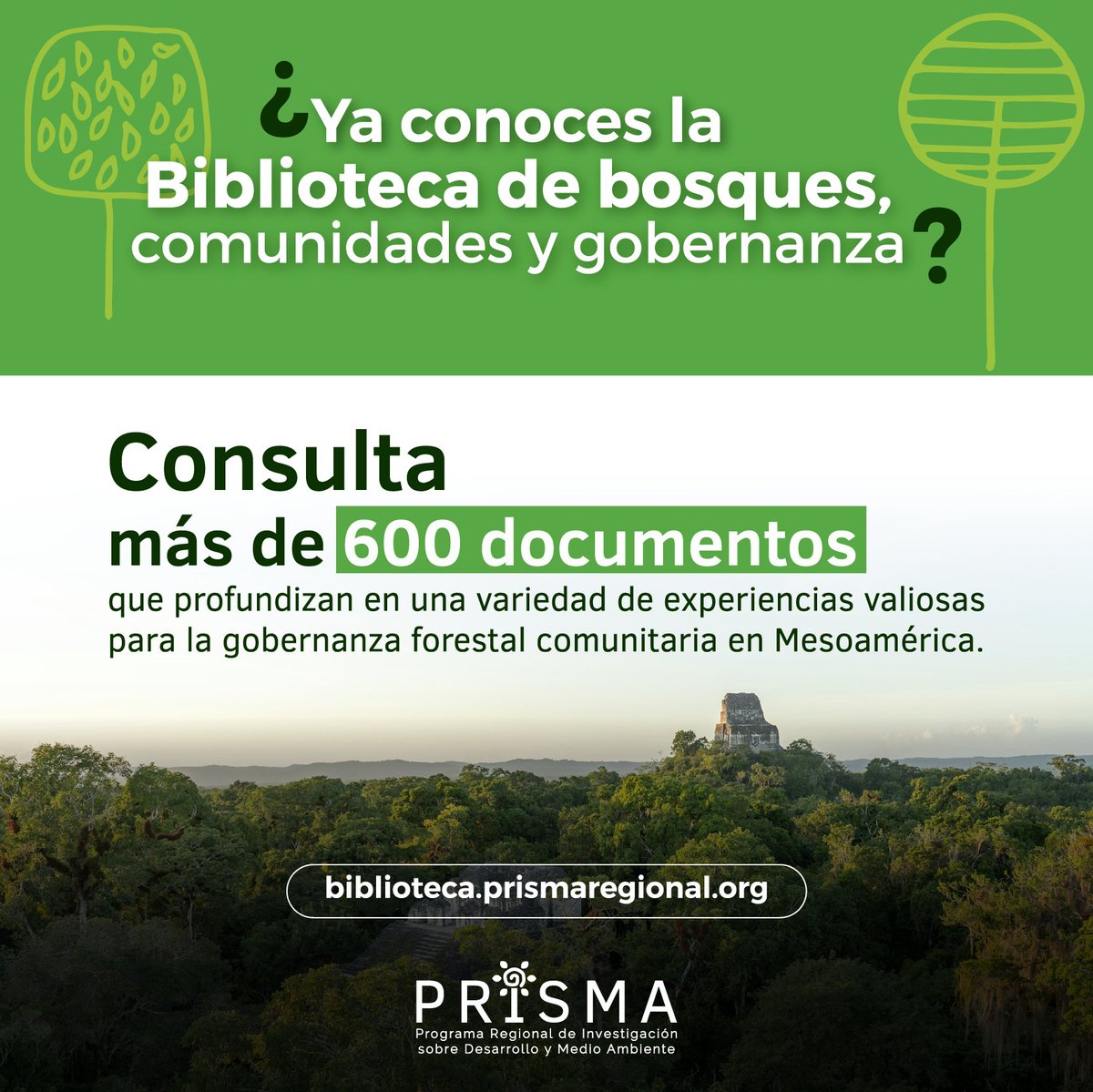 Desarrollamos una herramienta para facilitar el acceso y referencia a cientos de publicaciones sobre el manejo comunitario de paisajes forestales y agroforestales de Mesoamérica. Ingresa a: biblioteca.prismaregional.org 🔍📖🌳