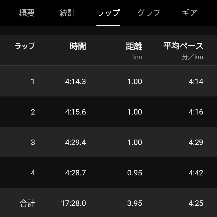 本日の練習会は １人3.9kmの駅伝大会!! 三人一組チームでガチバトルで 総勢８チーム、24名集まって 盛り上がりました💓 そんな私はめちゃくちゃ失速し😂 挙句の果てにロストして😂 めちゃくちゃ足引っ張った💦 ごめんなさい😂 次やるまでに精進します💦 キツかったけど めちゃくちゃ楽しかった♡