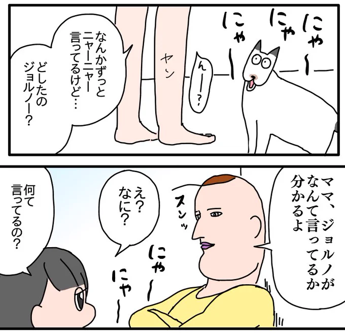 猫語(1/2) 