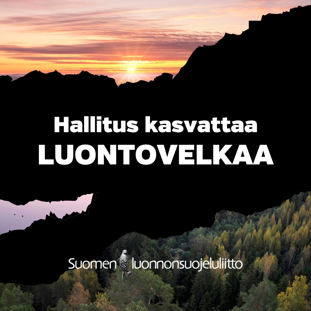 Hallitus ei puuttunut kehysriihessä ympäristölle haitallisiin tukiin, vaikka sopeutuksia piti etsiä aivan kaikkialta. Hallituksen toimimattomuus kasvattaa luontovelkaa, joka jää lasten ja nuorten maksettavaksi. #kehysriihi
