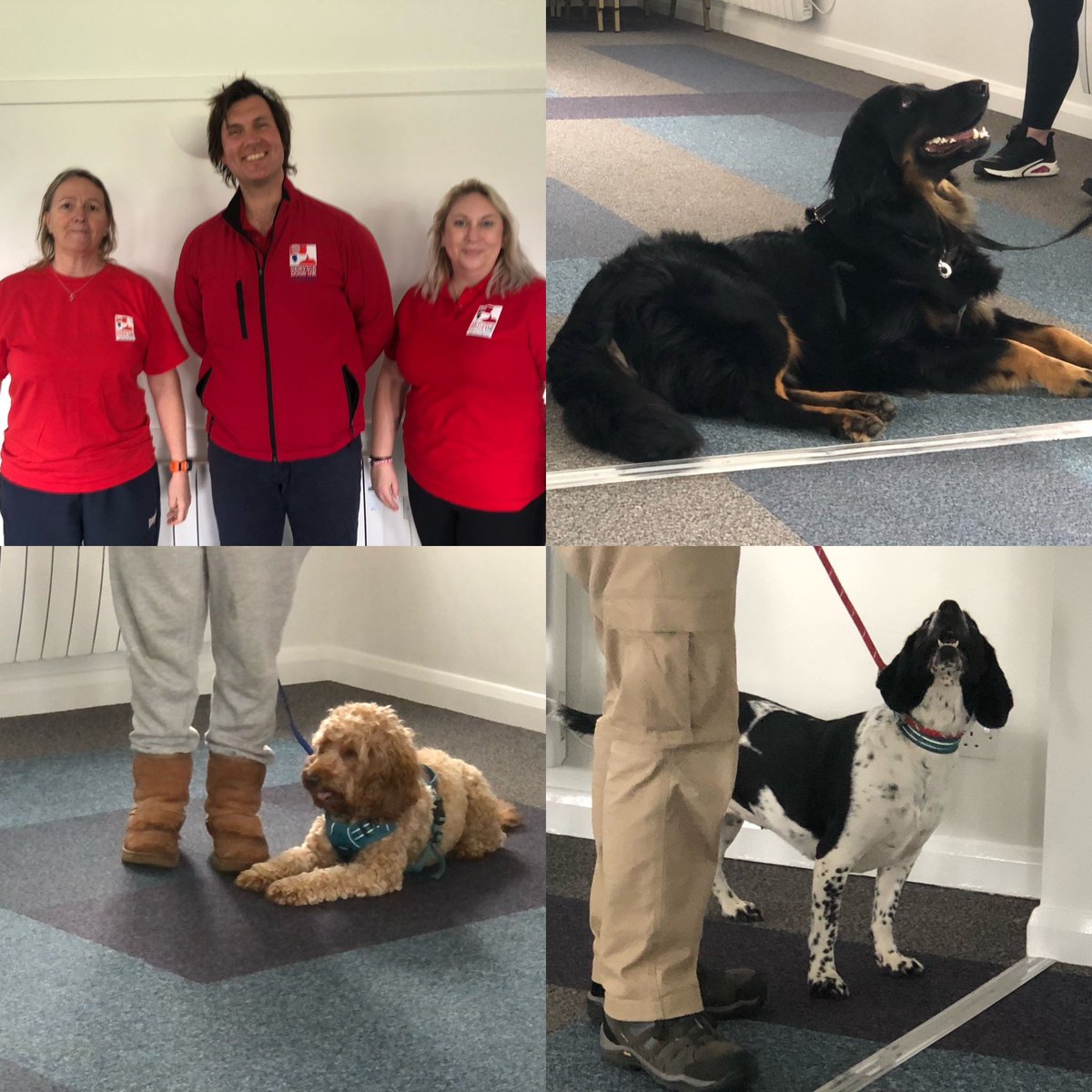 Wow! 🚀 We are up and running at our brand new Essex Hub! 
Today we had our first real session with our Veterans, Volunteers and Fab Fosters!! 
This is a great start to meeting the needs of our 999 and military Veterans with PTSD! 😊🐕‍🦺👍🐾 #PTSD #servicedog #BlueLights  #Military