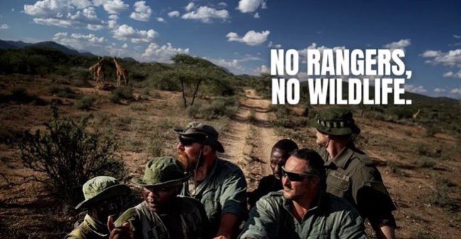 AFOANFTs's tweet photo. Rangers are on the front lines of conservation efforts, safeguarding natural habitats, enforcing regulations to prevent poaching and illegal activities, and educating visitors about the importance of conservation. 

Rangers serve as the guardians of our natural heritage, ensuring that future generations can continue to enjoy the beauty and diversity of our planet’s wildlife. @CROWRangers