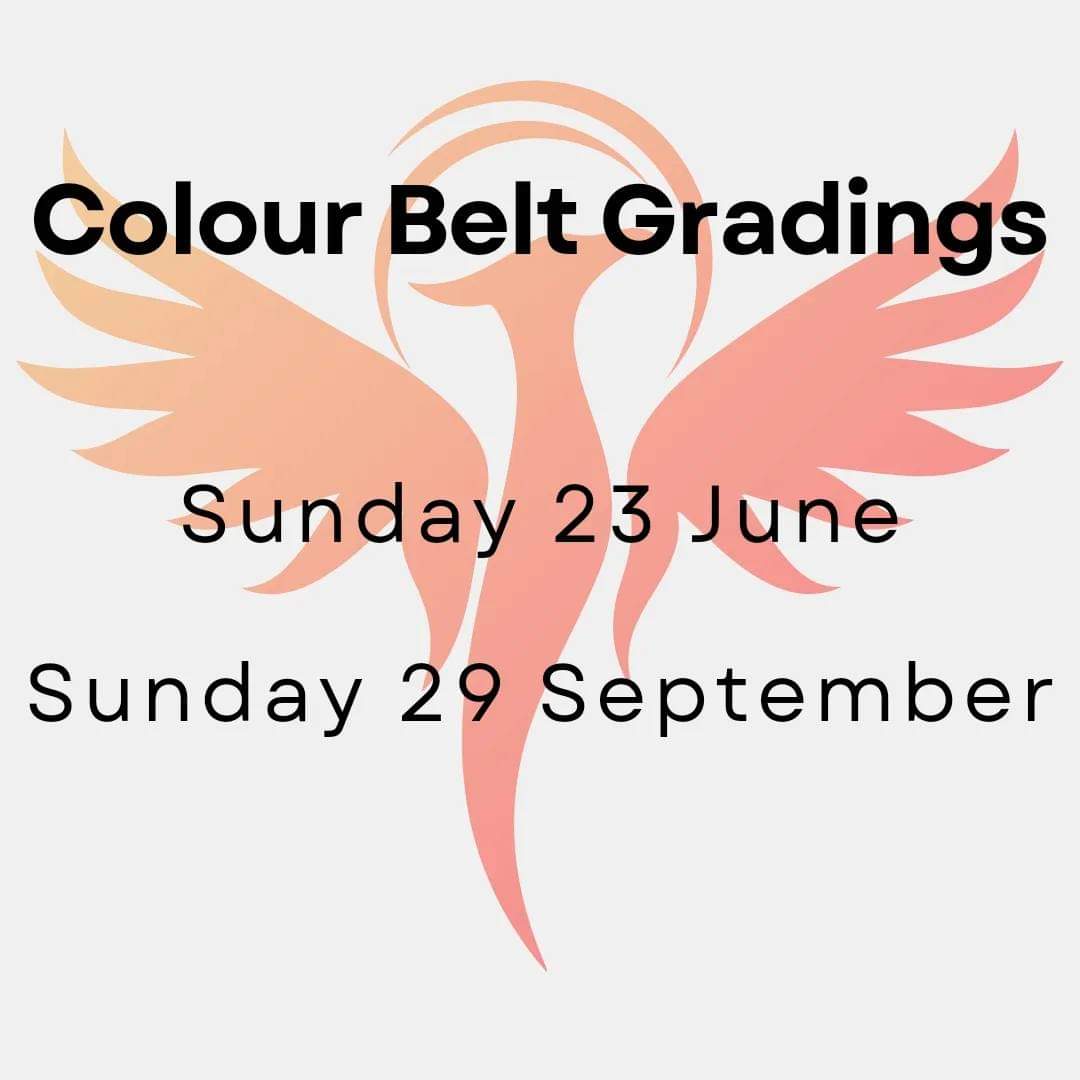 PFKKILLINGWORTH's tweet photo. Colour belt grading dates: Sunday 23 June and Sunday 29 September.

Time to put in the work for your next belt! https://t.co/wYnOjEVT5I