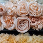 Photo by M&S Schmalberg Flowers (@Schmalberg)