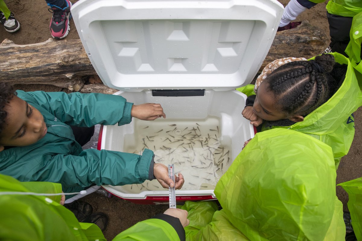 It's the time of year when our #TroutInTheClassroom students like @samara_school in the Bronx, in partnership with @TroutUnlimited, bid farewell to their trout fingerlings but now better understand the importance of protecting our shared water resources: on.nyc.gov/3Q3w5qA