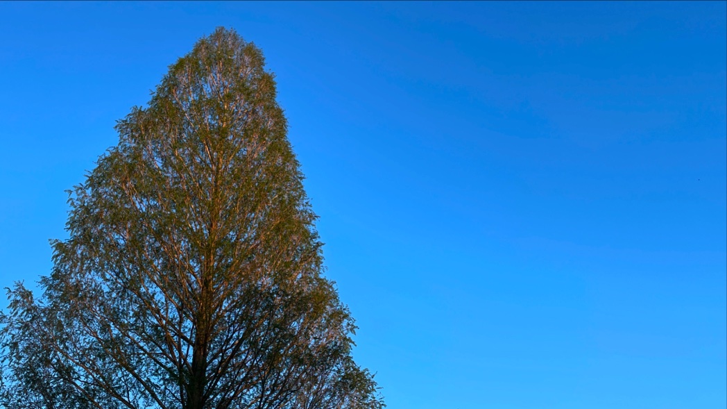 ScottDimmich's tweet photo. PHOTO OF THE DAY: 85Β° and sunny. Taken yesterday afternoon in Blue Ash.
#sunny #blueash https://t.co/nqJOkN4KvS