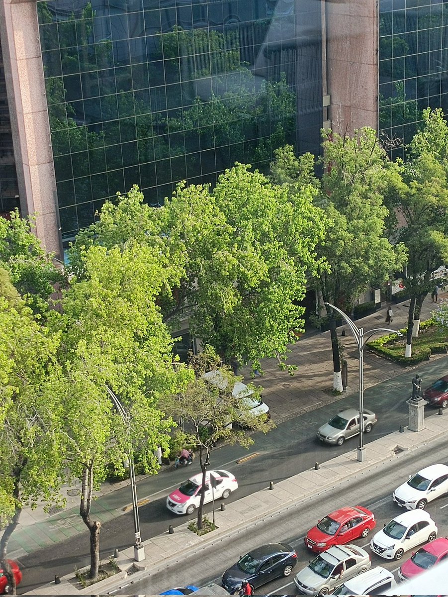 Quien tuviera un hotel en reforma para poder estacionar sus camionetas en la banqueta durante el tiempo que quiera sin que nadie le diga nada, aún teniendo un área de carga y descarga. Quien tuviera el Barceló.