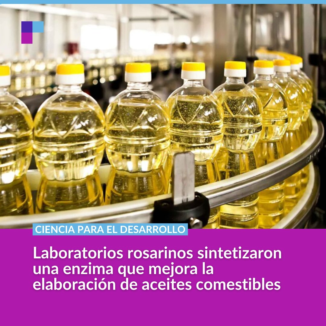 El Dr. Rodolfo Rasia, director del grupo de Biofísica del Reconocimiento Molecular en <a href="/IBR_CONICET/">IBR</a> dialogó con #ABC sobre este trabajo. Los resultados fueron publicados en la revista Biochemistry.

La nota complenta en radio.unr.edu.ar📲