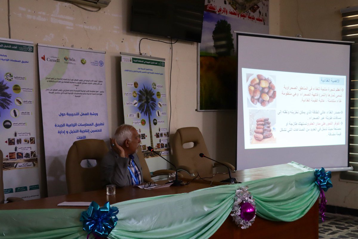 📚 بوجود خبراء من @faoiraq و وزارة الزراعة، يتلقى المشاركون تدريبات في الممارسات الزراعية الأساسية، بدءا من إنشاء مزارع نخيل التمر والتسميد إلى التقليم وخف الثمار، لإدارة المزارع بفعالية. مع التركيز على إدارة سوسة النخيل الحمراء وتقليل مخاطر الإصابة.