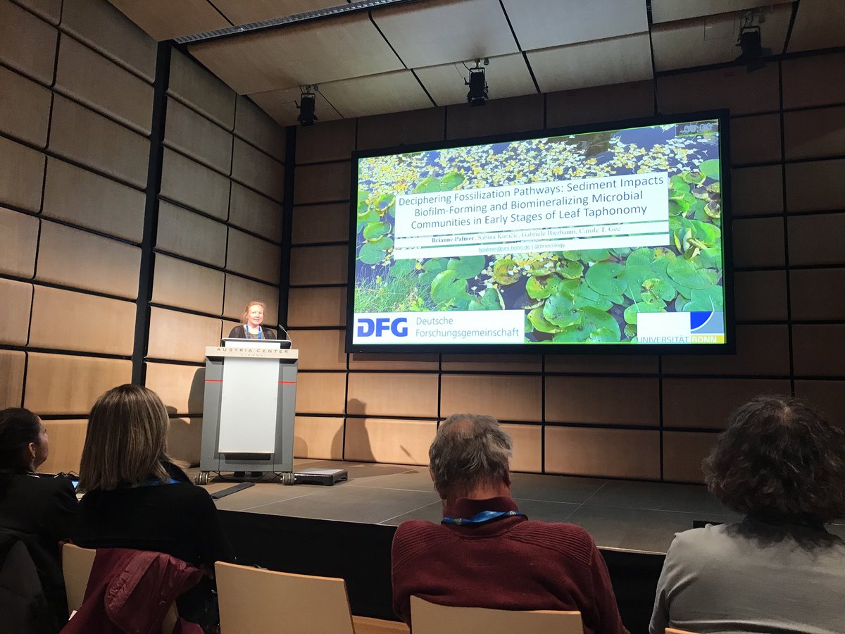Microbes are so cool!!! Thanks @briecology for educating me on the ability of biofilm microbes to preserve plant material via biomineralization. Another fantastic talk of this badass member of @WomenInSoilEco #WomenInSTEM #EGU24