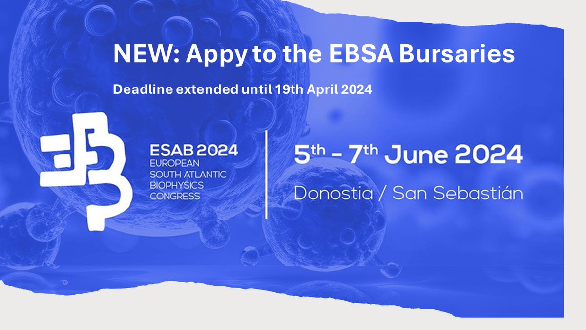 📢🔝Do you want to attend @ESAB2024 Congress?? It is organized as joint effort by the @SBEsp, @BiophysicsPT, @SFBiophys and the #European Biophysical Societies' Association (EBSA). 👉Apply to EBSA bursaries. biophysicssansebastian2024.com/ebsa-bursaries/