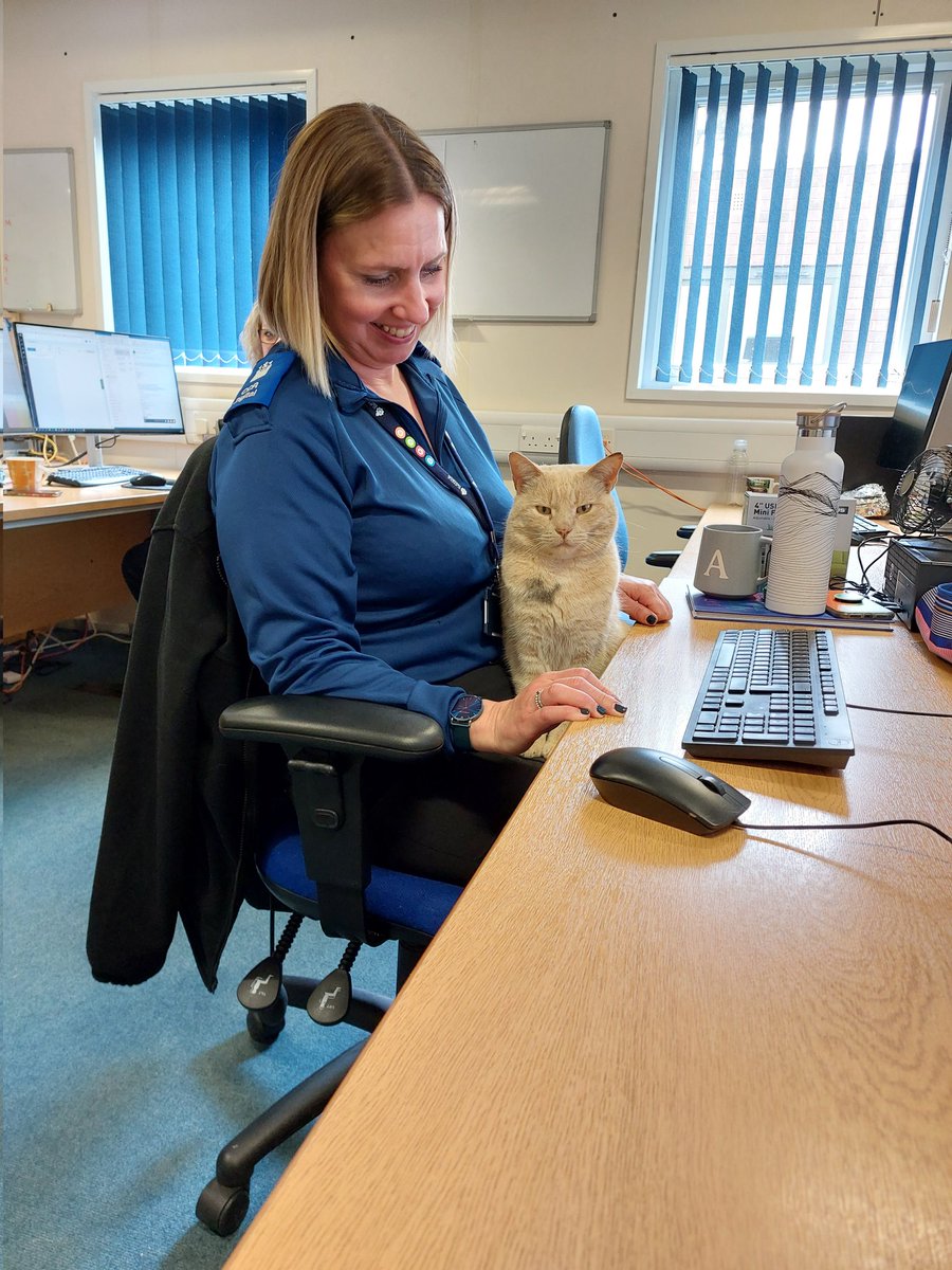 A purr-fect visit to the Digital Engagement Team today <a href="/SuffolkPolice/">Suffolk Police</a>