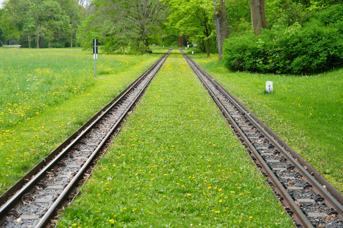 Auf in den Frühling!

Gleise der Parkeisenbahn im Großen Garten von Dresden.