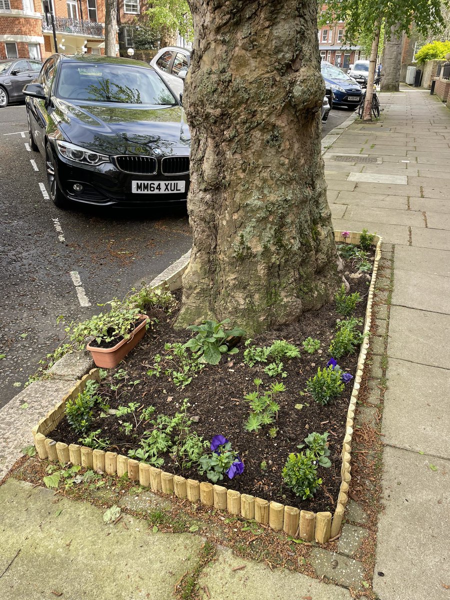 Nice bit of guerrilla gardening on Wymering Road. Good work.