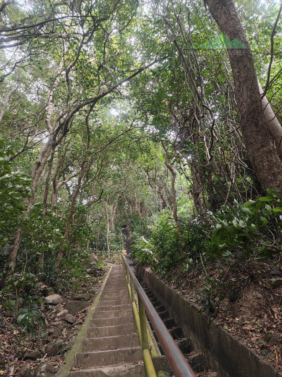 You know what? That's a lot of stairs!
#HongKong trail #hk4tuc

#BreakingImpossible #running #photosafari #travel #travelphotography #OptOutside #hiking