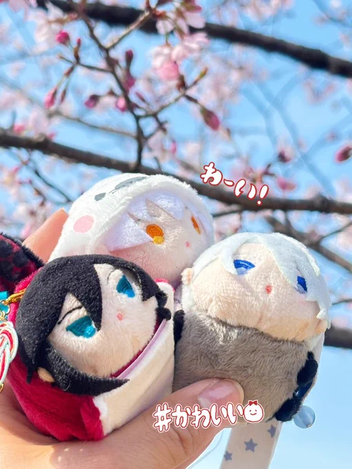 #とうらぶぬいもちWebお花見会2024 素敵なタグお借りしました