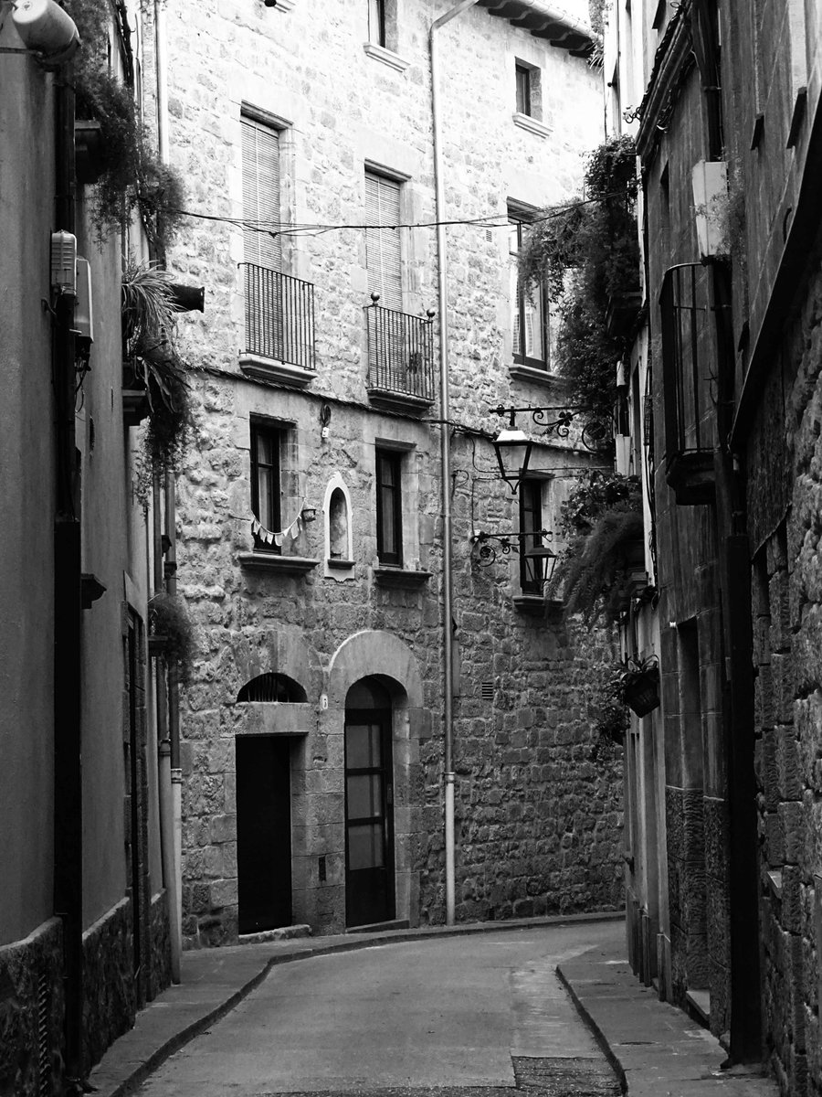 Plantes...Solsona #solsona #solsonès #païsoscatalans #catalunya #landscapephotography #landscape #landscapes #landscape_captures #landscape_lovers #streetstyle #streetsphotography #street #bnw #bnwphotography #bnwmood #bnw_greatshots #bnw_captures #bnw_rose #landscapestyles