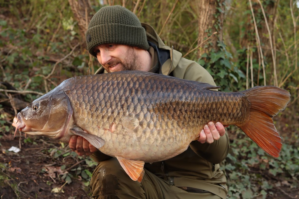 Nice start for Rob Phipps from Swansea on his local club water. He landed one of his targets in the way of this lovely 30lb'er. A Fruity Squid Wafter fished over Cell and Link freebies did the trick, nice!
#carpfishing #mainlinebaits