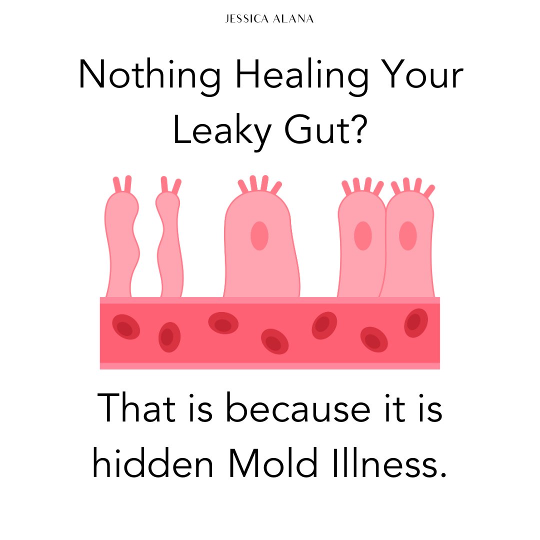 Long-term Leaky Gut? IBD/IBS for over 5+ years?

And...you're...still...looking...at...the..gut?

Crazy!

Nope, look upstream or look deeper.

Mold Illness/CIRS is a big culprit of untreatable gut symptoms.

A short thread.