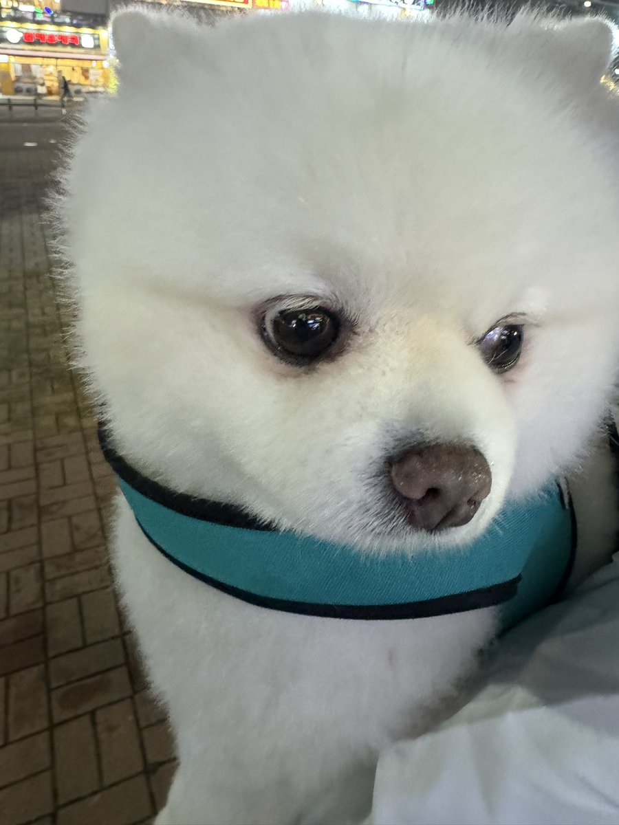 스프링동안 응원해주셔서 감사합니다🙇🏻‍♂️ 
항상 어떻게 보답해드려야할지 생각하는데 
제가 행복하게 게임하면서 생활하는게  
팬분들에게도 
좋은 영향을 드릴거 같다고 생각해서 
앞으로도 오랫동안 건강한 정신으로 좋은 모습 보여드리겠습니다
이번 스프링도 팬분들 덕분에 행복했습니다
Msi때는