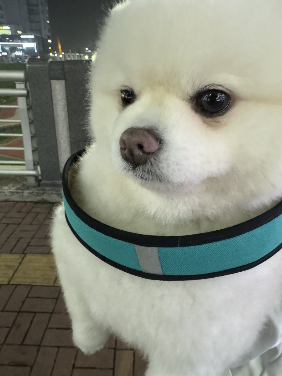 류민석 Keria tweet media