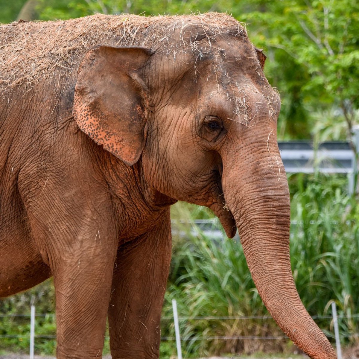 zoomiami tweet picture