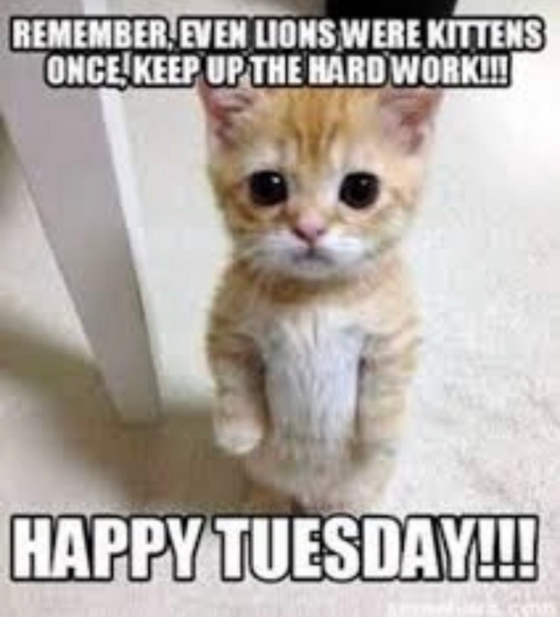 Happy Tuesday! 
#Tuesdays #tuesdaymood