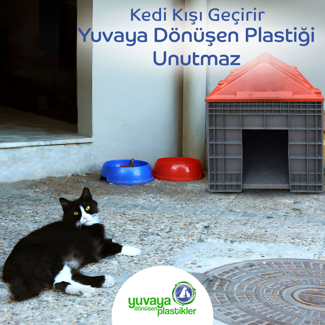 Kedi Kışı Geçirir Yuvaya Dönüşen Plastiği Unutmaz #yuvayadönüşenplastikler #ydp #geridönüşüm #sürdürülebilirlik #sokakhayvanları #pati