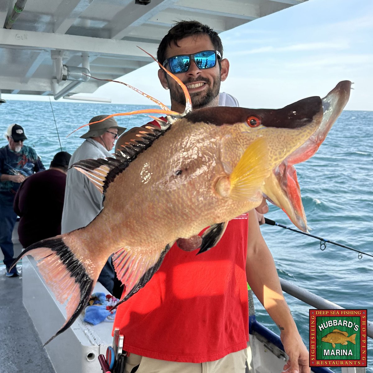 LOOK AT THAT HOGFISH!!! We are still chasing the Hogfish offshore! Come and catch some up with us!
#deepseafishing #offshorefishing #hogfish #floridafishing