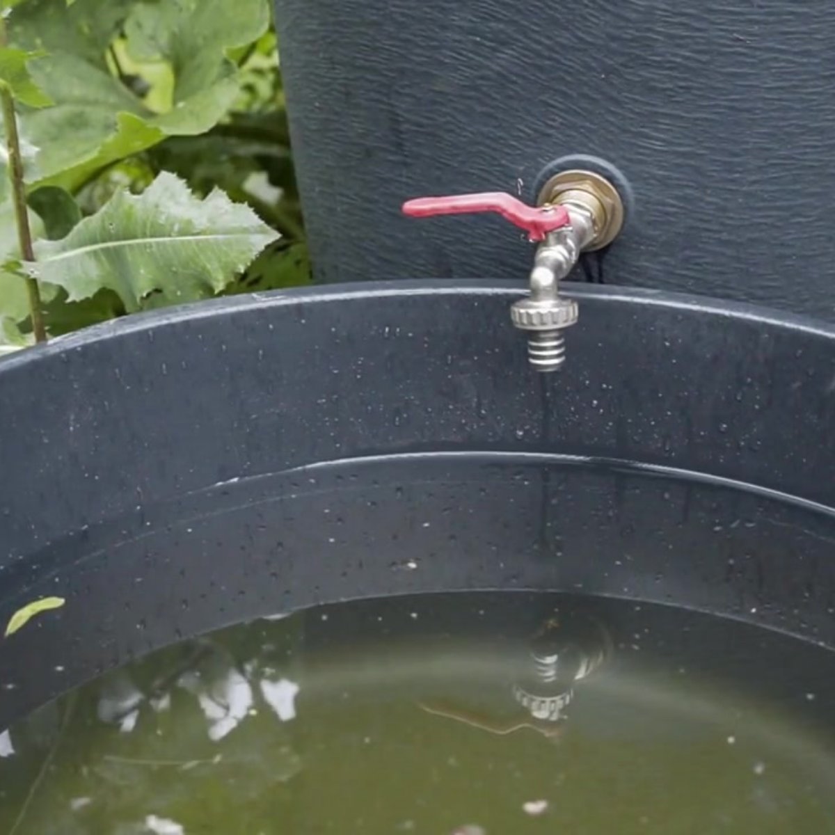 Interested in going green? ♻️ Discover the uses and benefits of rain barrels and learn how to make your own in just a few simple steps. 📌 Uses & Benefits of Rain Barrels 🗓️ Friday, April 19 🕗 7 to 8 p.m. EST This event is being offered at no charge. ow.ly/nmJu50R6QEI