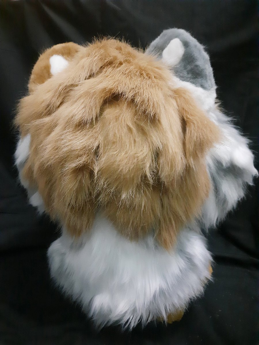 Vulpes_Paw Fursuit tweet media