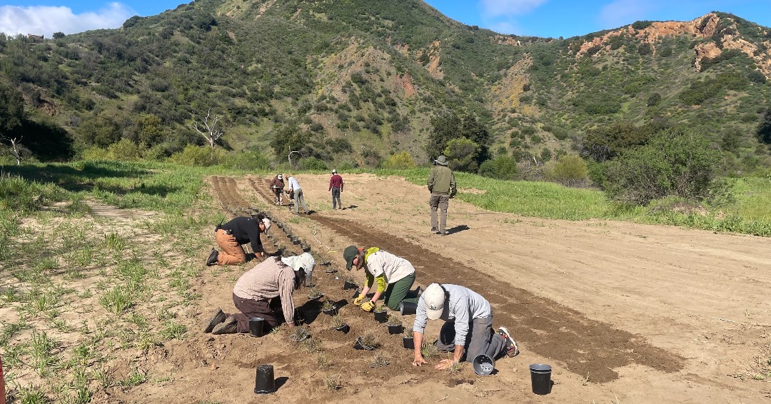 SamoFund's tweet photo. Thank you to @calpine Energy, which provided $25k for the development of LA's first #nativeseed production farm. The farm will provide seed inventory to support large-scale #restoration projects
Read more: https://t.co/Vl6NzY0tI2
#Grant #LACommunity #Environment #Conservation https://t.co/soHI1pYTWJ