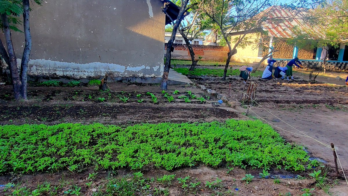 #Fulbright Teacher #ExchangeAlumni Sadath Mwamsema of Tanzania was awarded a Global Teacher Grant to establish a school garden and tree planting initiative. His project will foster his students' awareness of sustainable practices and nutrition through hands-on learning.