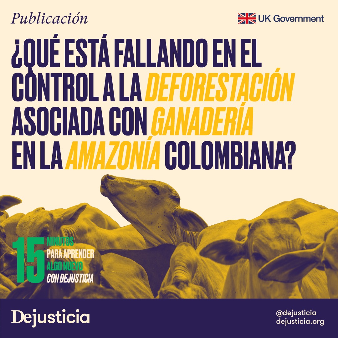 ¿Nos regalas #15Minutos para aprender algo nuevo? 🟡Analizamos la política pública y las herramientas de control que existen para contener la #deforestación asociada con #ganadería. Pusimos la lupa en los efectos en materia de derechos humanos, y estos fueron nuestros hallazgos: