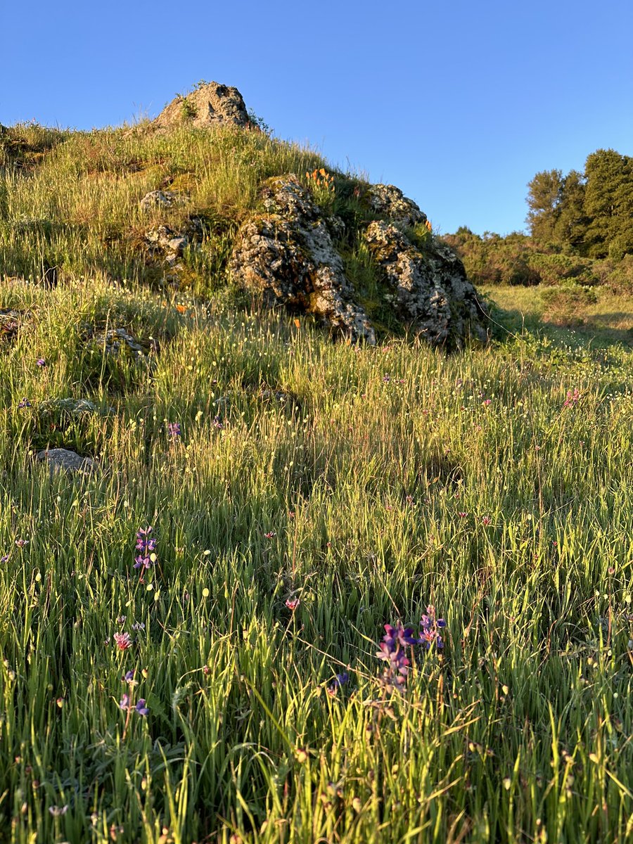 A wee chunk of pagan heaven here as the golden sun clears the mountaintop behind me.