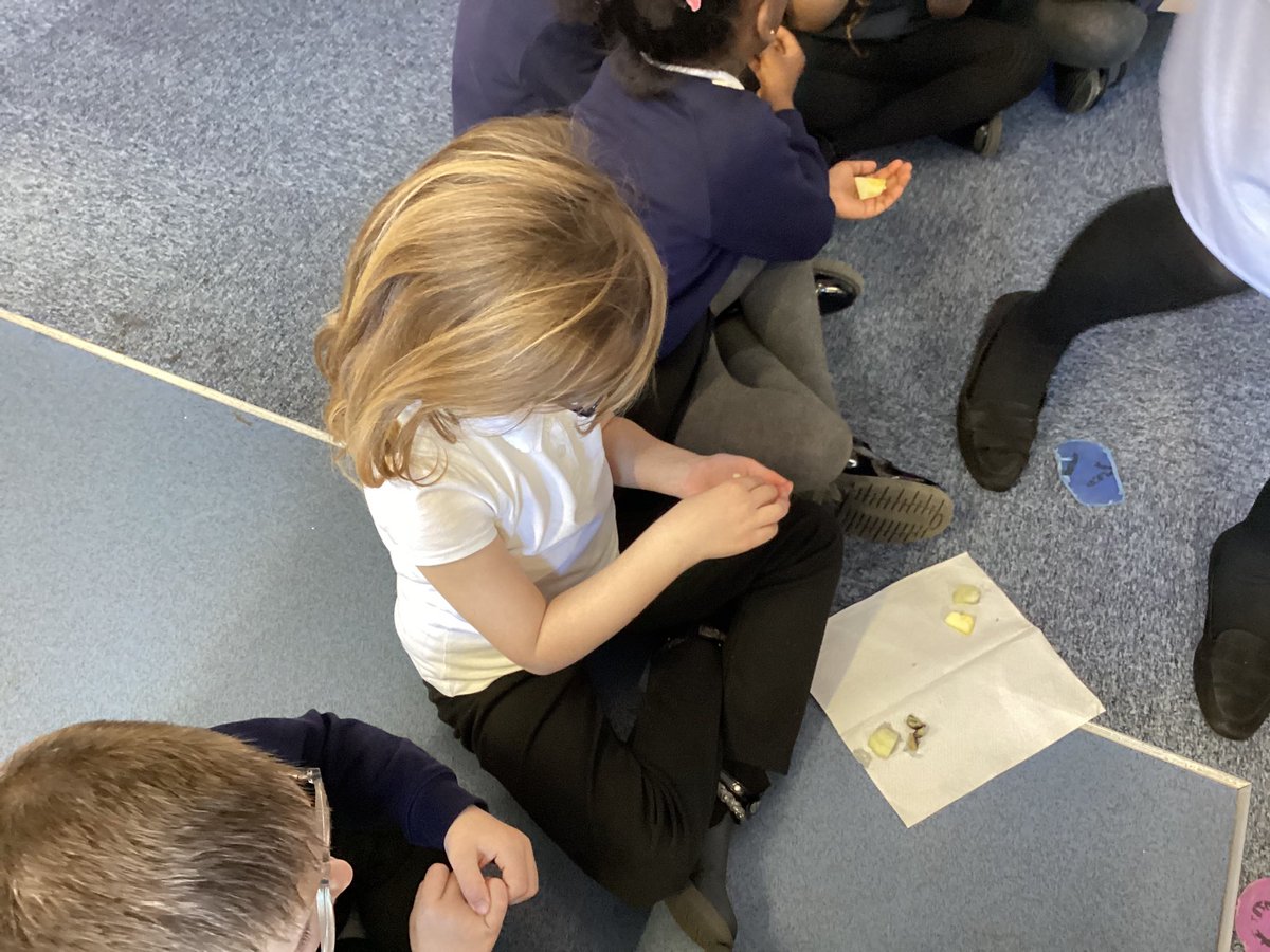 Today the children got to taste different fruits like apples🍎 and grapes 🍇.They described some fruits as sweet and some sour.This helped them prepare for when they make their own fruit salad and deciding which fruits they would like to use😋 <a href="/paganelschool/">Paganel Primary</a> @MrsGingell