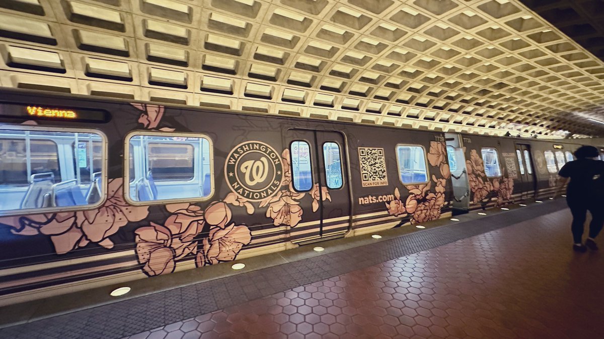 The cherry blossom train to work today 🌸 🚊 It’s gonna be a good day!