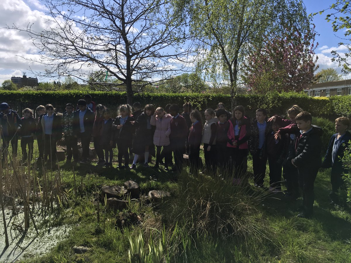 Stphilipevanspr's tweet photo. #SPEBl3 have been visiting the pond this afternoon to spot animals and insects that live in this habitat #SPEOutdoorLearning https://t.co/lPHPSw7foq